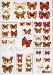 IT 553 Schmetterlinge 4