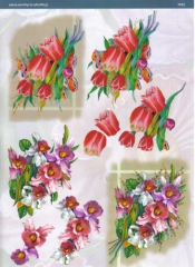 BL39 Tulpen